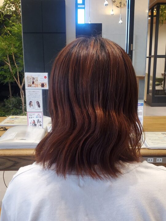 写真:Before