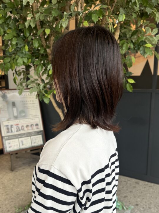 写真:Before