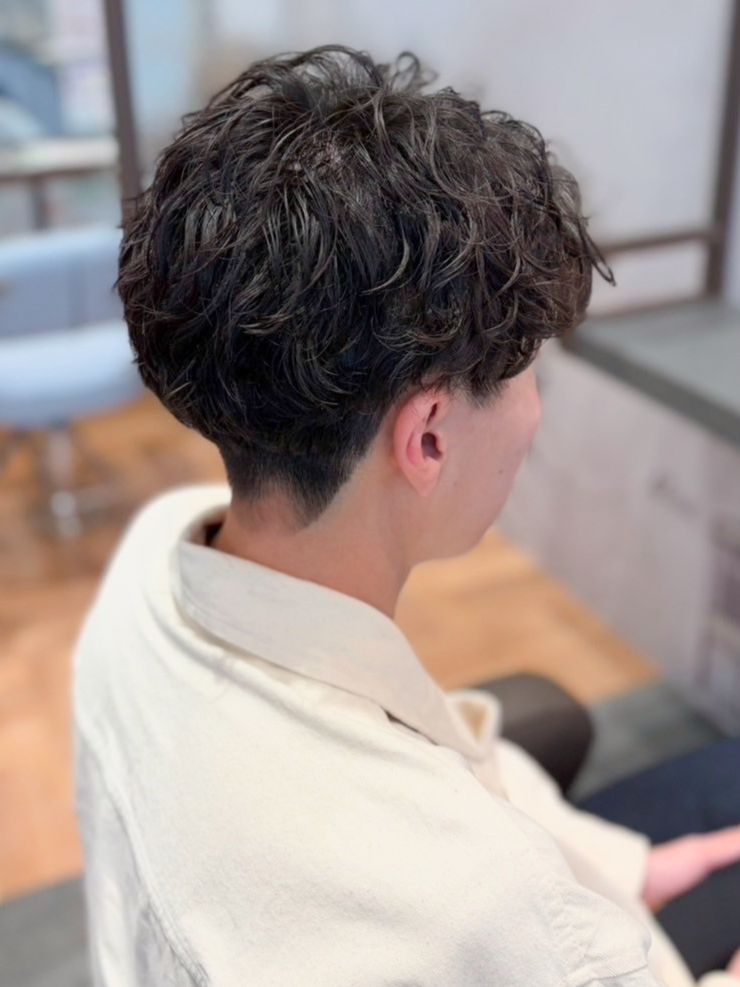 美容室Wiz シャドウパーマの魅力と最新スタイル集 マッシュ