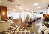 千葉県佐倉市、志津・ユーカリが丘駅の美容室Wizの美容師 求人、募集(スタイリスト、アシスタント)