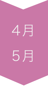 4月 5月