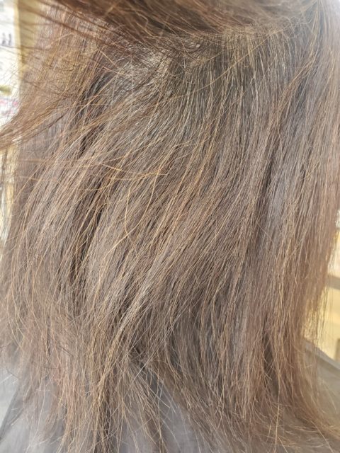 写真：Before