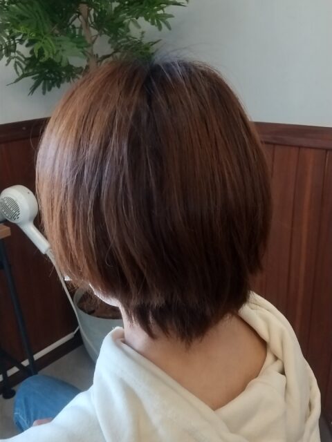 写真：Before