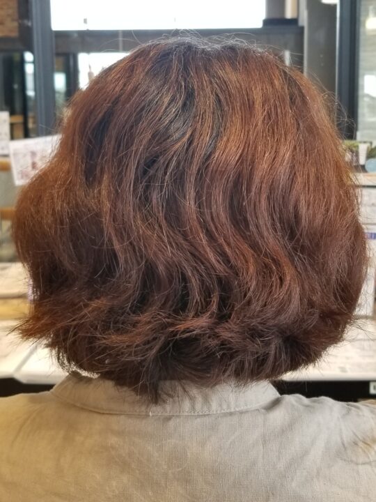 写真:Before