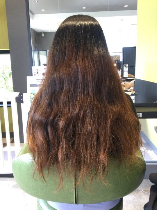 写真:Before