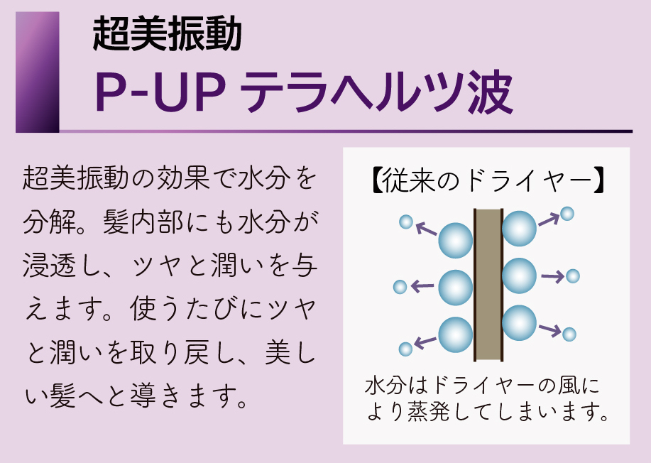 p-upテラヘルツドライヤー