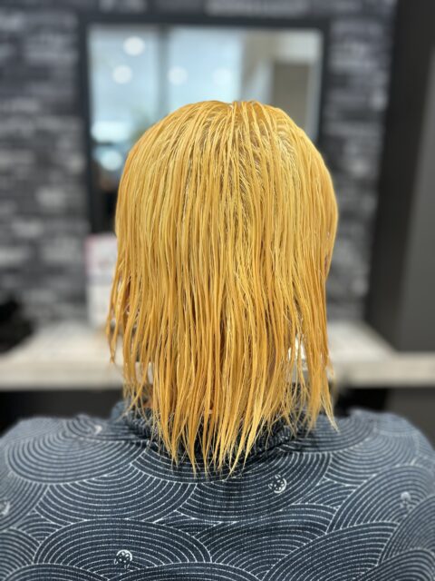 写真:Before