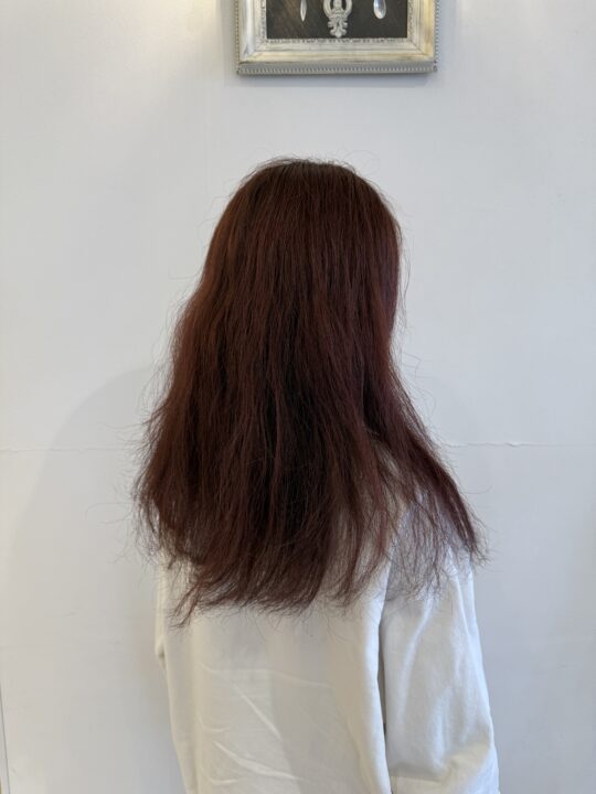 写真:Before
