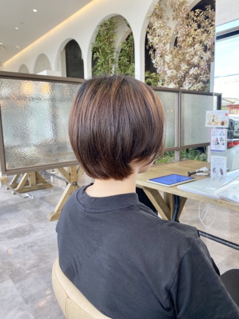 写真:Before