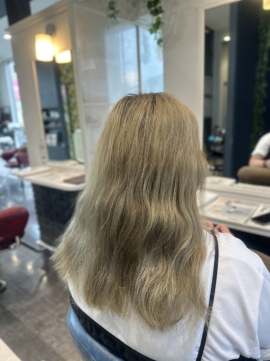 写真:Before
