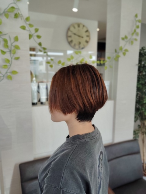 写真:Before
